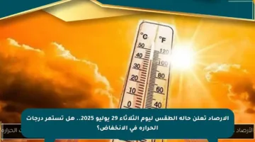الأرصاد تعلن حالة الطقس ليوم الثلاثاء 29 يوليو 2025.. هل تستمر درجات الحرارة في الانخفاض؟